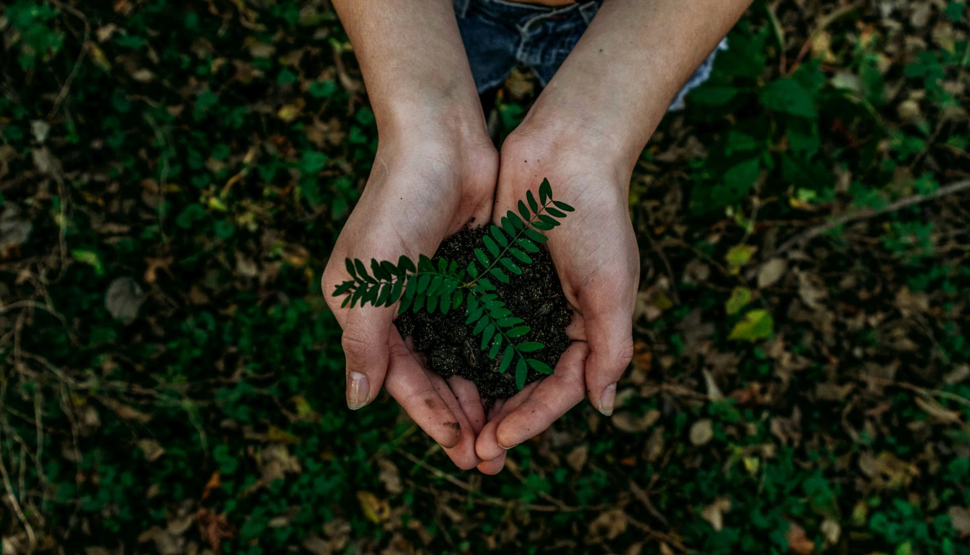 ISO 14001