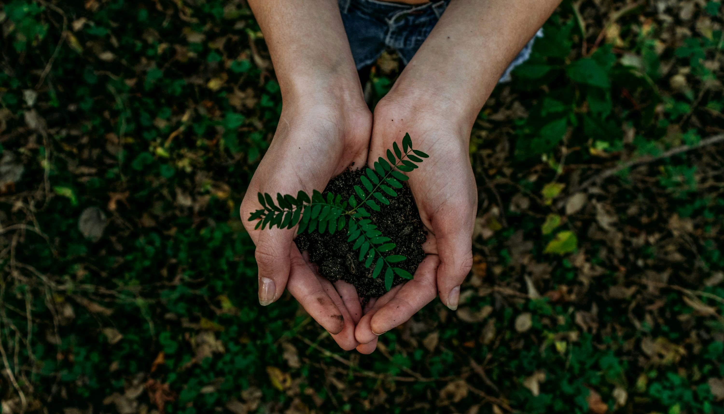 ISO 14001
